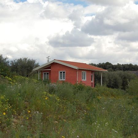 Mandorleo Daire Belpasso Dış mekan fotoğraf